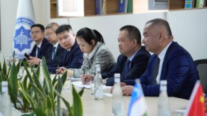 Xitoyning Shinjon tibbiyot Universiteti