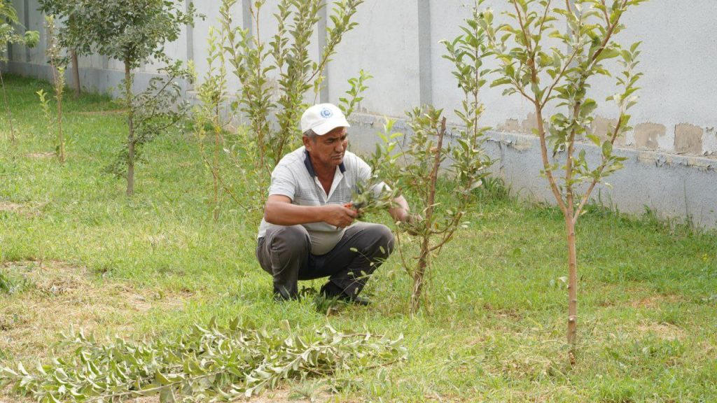 Obod va fayzli mahalla – yurt ko‘rki!