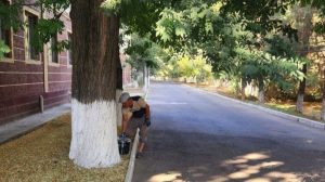 Obod va fayzli mahalla – yurt ko‘rki!