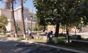 Toshkent davlat tibbiyot universitetida umumxalq xayriya hashari hamjihatlikda o‘tkazildi