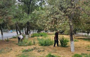 Toshkent davlat tibbiyot universitetida umumxalq xayriya hashari hamjihatlikda o‘tkazildi