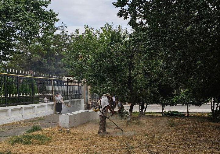 Toshkent davlat tibbiyot universitetida umumxalq xayriya hashari hamjihatlikda o‘tkazildi